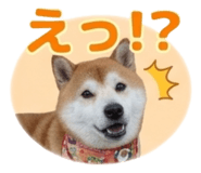 839970312