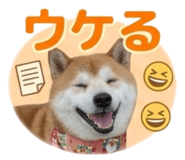 839970317