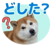839970321
