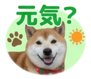 839970322