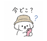 839970569