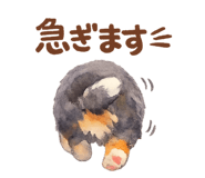 839971163