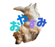 839971635