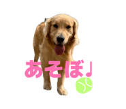 839971637
