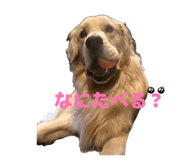 839971638