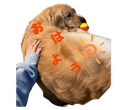 839971639