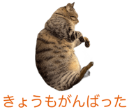 839972177