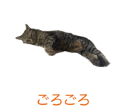 839972178