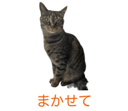 839972189