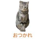 839972192