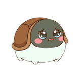 839972394