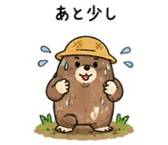 839972554