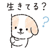 839973020