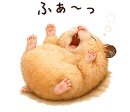 839973906
