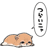839974465