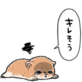 839974480