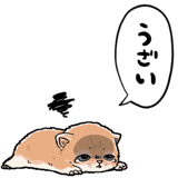 839974481