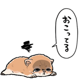 839974493