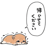 839974497