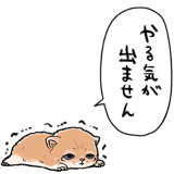 839974498