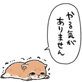 839974499