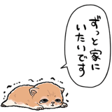 839974501