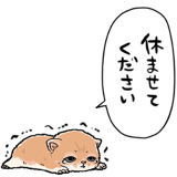 839974502