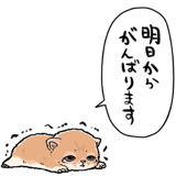 839974504