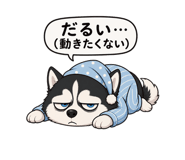839975045
