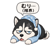 839975046
