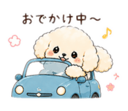 839975554