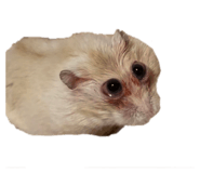 839979089
