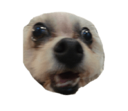 839979093