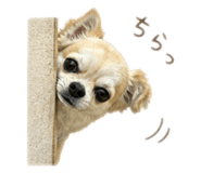839979109