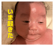 839979155