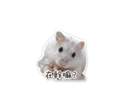 839979402