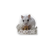 839979404