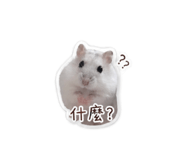 839979406