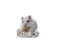 839979408