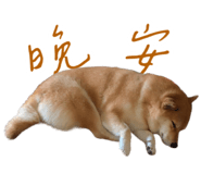 839979818