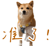 839979824