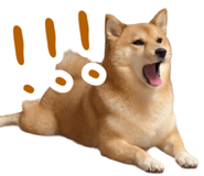 839979828