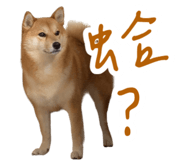 839979829