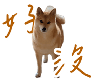 839979830