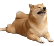 839979832