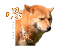 839979835