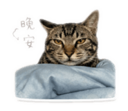 839980002