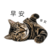 839980011