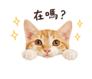 839980036