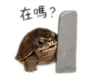 839980213